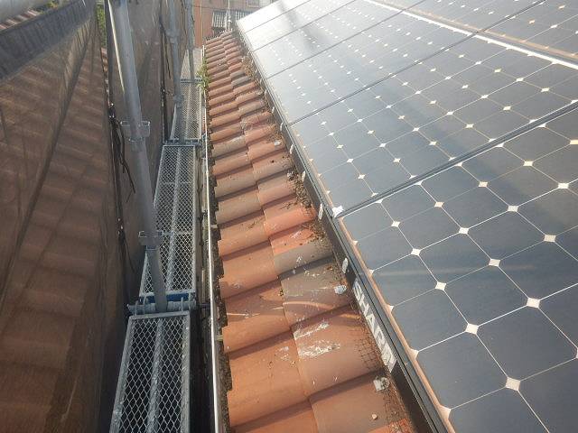 ④鳩の巣　糞　足場